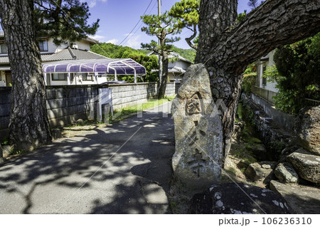 備後国分寺 参道 広島県福山市 備後国分寺 参道 広島県福山市 106236310