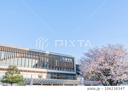 福井県福井市 快晴のJR福井駅東口と桜の花 福井県福井市 快晴のJR福井駅東口と桜の花 106236347