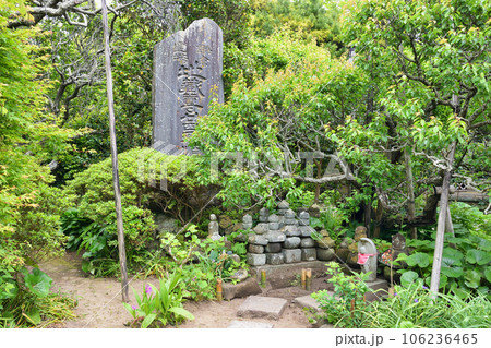 宝戒寺の境内（神奈川県鎌倉市） 106236465