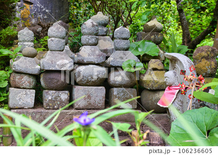 宝戒寺の境内（神奈川県鎌倉市） 106236605
