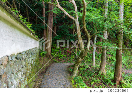 5月の奈良 山の辺の道 玄賓庵の白壁と石畳の道 5月の奈良 山の辺の道 玄賓庵の白壁と石畳の道 106236662