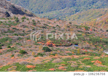 秋　那須岳　姥ヶ平 106236708
