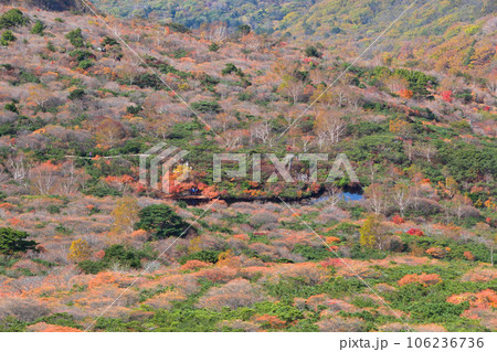 秋　那須岳　姥ヶ平 106236736