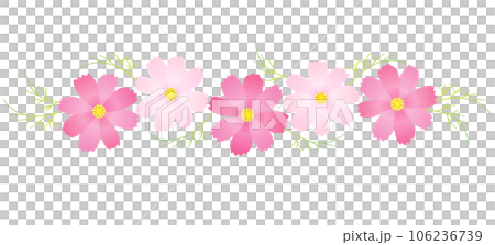 粉紅色的波斯菊花裝飾秋季框架 106236739