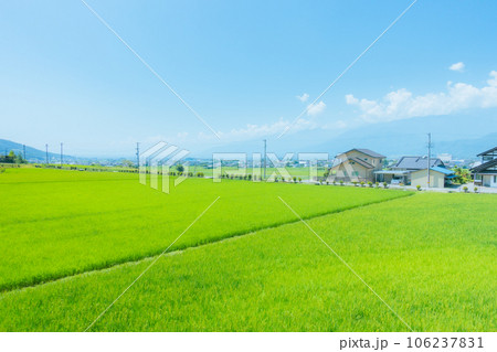 夏の安曇野【北安曇郡池田町】 夏の安曇野【北安曇郡池田町】 106237831