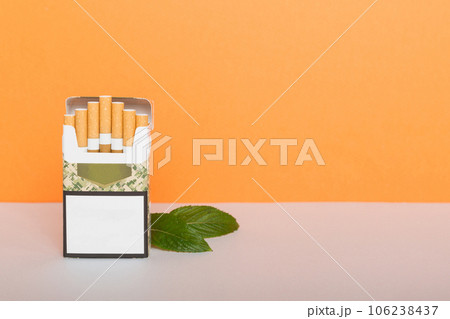 Pack of menthol cigarettes and fresh mint on colored table, Menthol cigarettes top view flat lay 106238437