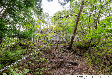 杖石山頂までの道 106240073