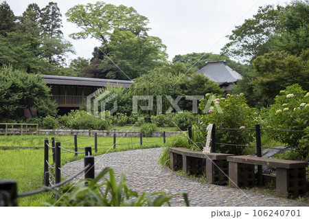 本土寺 周辺の風景 本土寺 周辺の風景 106240701