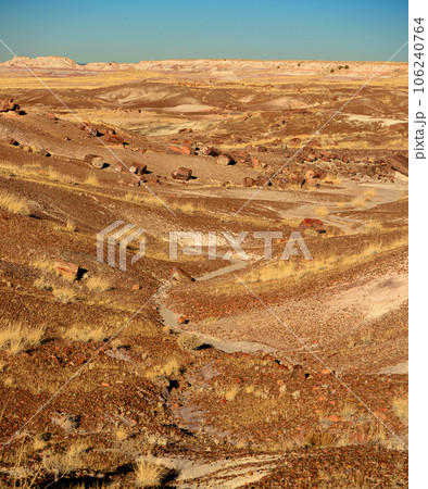 Rugged and Desolate Landscape Petrified Forest Arizona 106240764