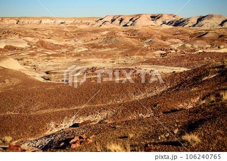 Rugged and Desolate Landscape Petrified Forest Arizona 106240765
