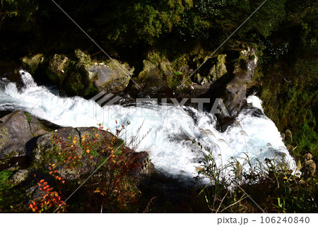 芝川 芝川 106240840
