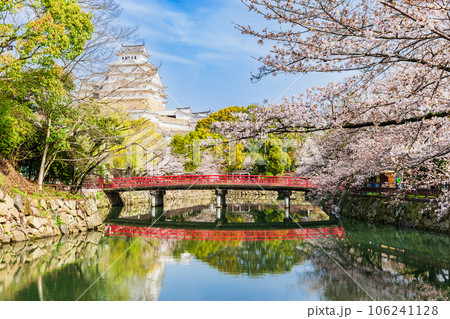 桜満開の姫路城　城見橋と大天守 106241128