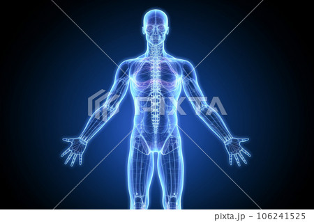 人体のレントゲン・CT・MRIイメージ 106241525