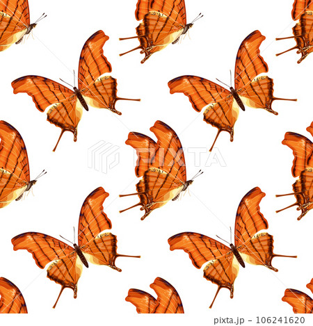 Seamless pattern with orange butterfly. Tropical insect. Seamless pattern with orange butterfly. Tropical insect. 106241620