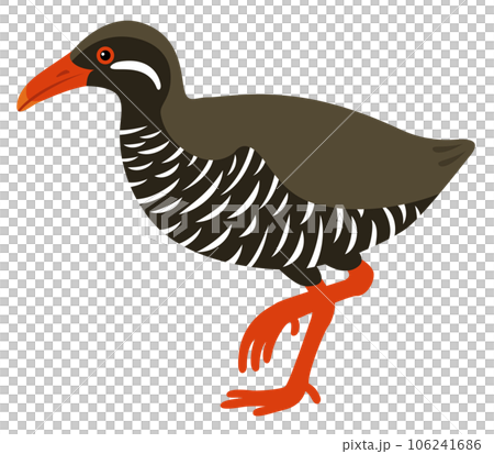 ヤンバルクイナ 106241686