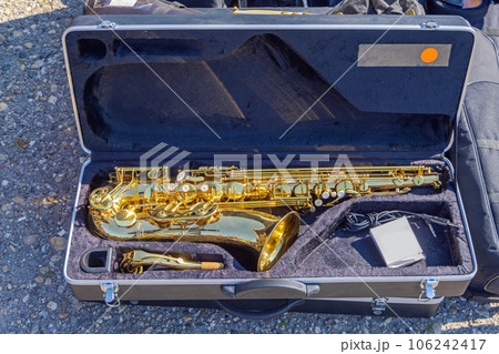 Saxophone in Case Saxophone in Case 106242417