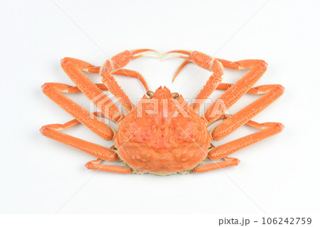 ボイルしたズワイガニ 106242759