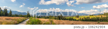 panorama landscape with Mala Fatra mountain range in the Western Carpathians, Slovakia 106242904