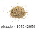 クミン 106242959