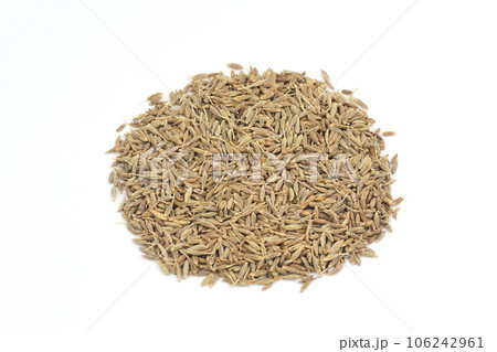 クミン クミン 106242961