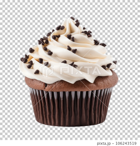 Delicious looking Cupcake 106243519
