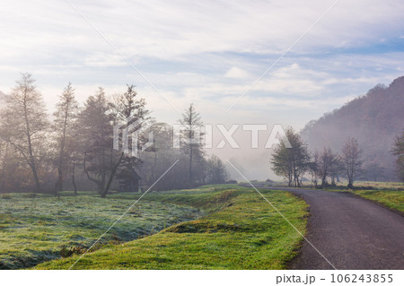 asphalt road in mountains. path through foggy valley with green grassy meadows. trip through countryside in autumn. trees along the way 106243855