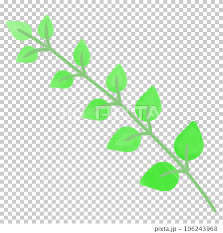 leaf,crover,ginko leaf,crover,ginko 106243968