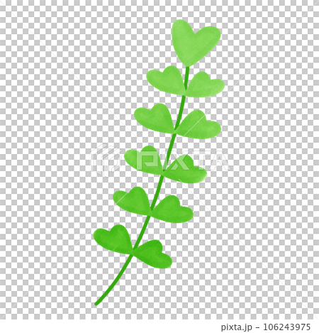 leaf,crover,ginko 106243975