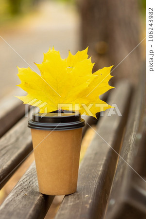 coffee cup and yellow leaves on a bench in an autumn park, autumn season concept coffee cup and yellow leaves on a bench in an autumn park, autumn season concept 106243982