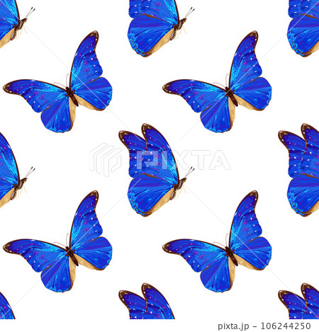 Seamless pattern with blue butterfly. Tropical insect. Neon colors. 106244250