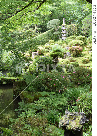 雨の聚碧園　三千院 106244953