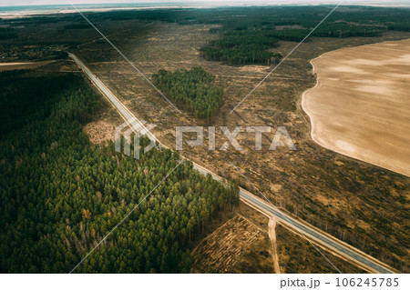 Forest Deforestation Area Landscape. Concept Of Save Nature. Forest Clearance. Uncontrolled Deforestation Concept. Autumn Season 106245785