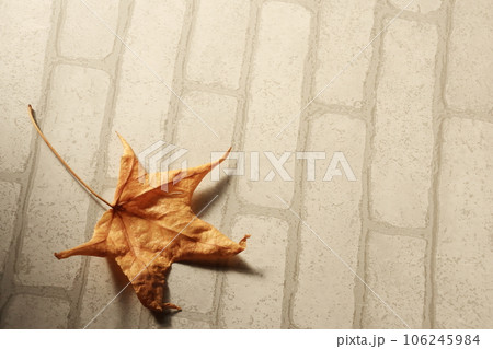 落葉 106245984
