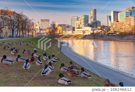Vilnius at sunset, Lithuania, Baltic states. Vilnius at sunset, Lithuania, Baltic states. 106246612