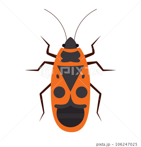 Isolated colored cockroach insect animal icon...のイラスト素材 [106247025] - PIXTA