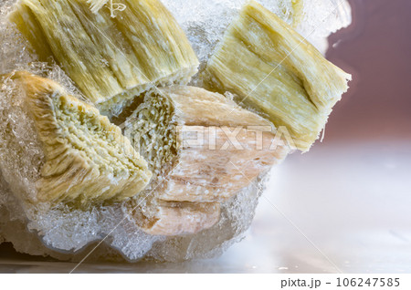 Focus stack of freezer burned rhubarb with ice crystals  106247585