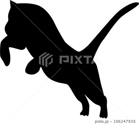 ジャンプする虎 106247938