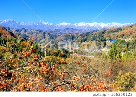 紅葉の里山と北アルプス 紅葉の里山と北アルプス 106250122