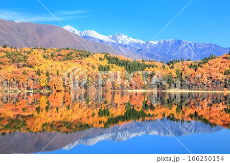 青木湖の紅葉 青木湖の紅葉 106250154