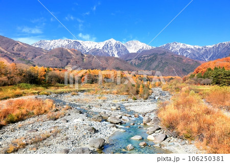 白馬・松川の紅葉と北アルプス白馬三山 106250381