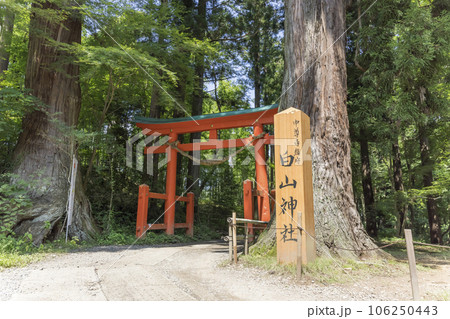 中尊寺境内にある白山神社入口 中尊寺境内にある白山神社入口 106250443