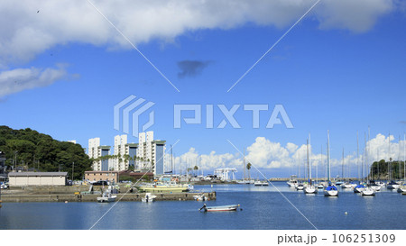 神奈川県三浦市小網代湾の夏（8月）　 106251309