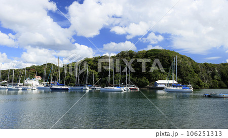 神奈川県三浦市小網代湾の夏(8月)  神奈川県三浦市小網代湾の夏(8月)  106251313
