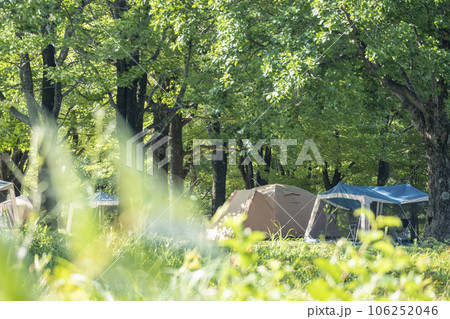 爽やかなキャンプ場のイメージ(蒜山高原) 爽やかなキャンプ場のイメージ(蒜山高原) 106252046