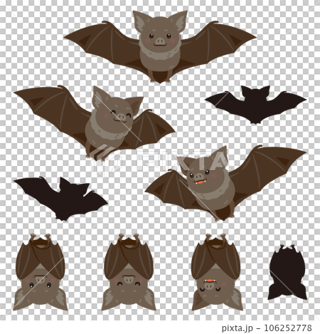 Bat Bat 106252778
