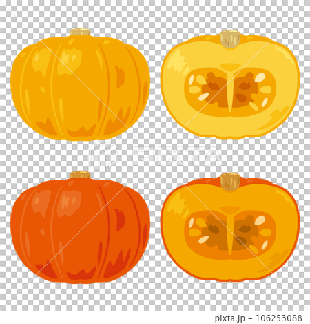 西式南瓜2 106253088