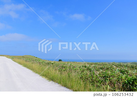 宗谷丘陵 白い道 106253432