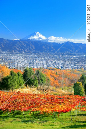 ぶどう畑の紅葉と富士山 106254093