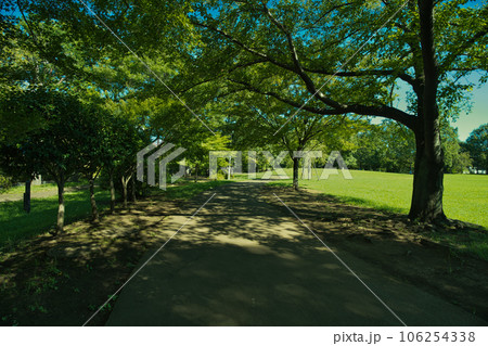 公園のイメージ 公園のイメージ 106254338