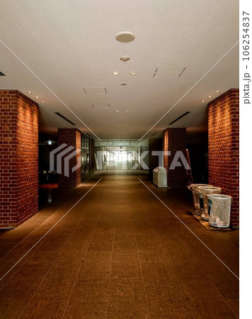 同志社大学 106254837